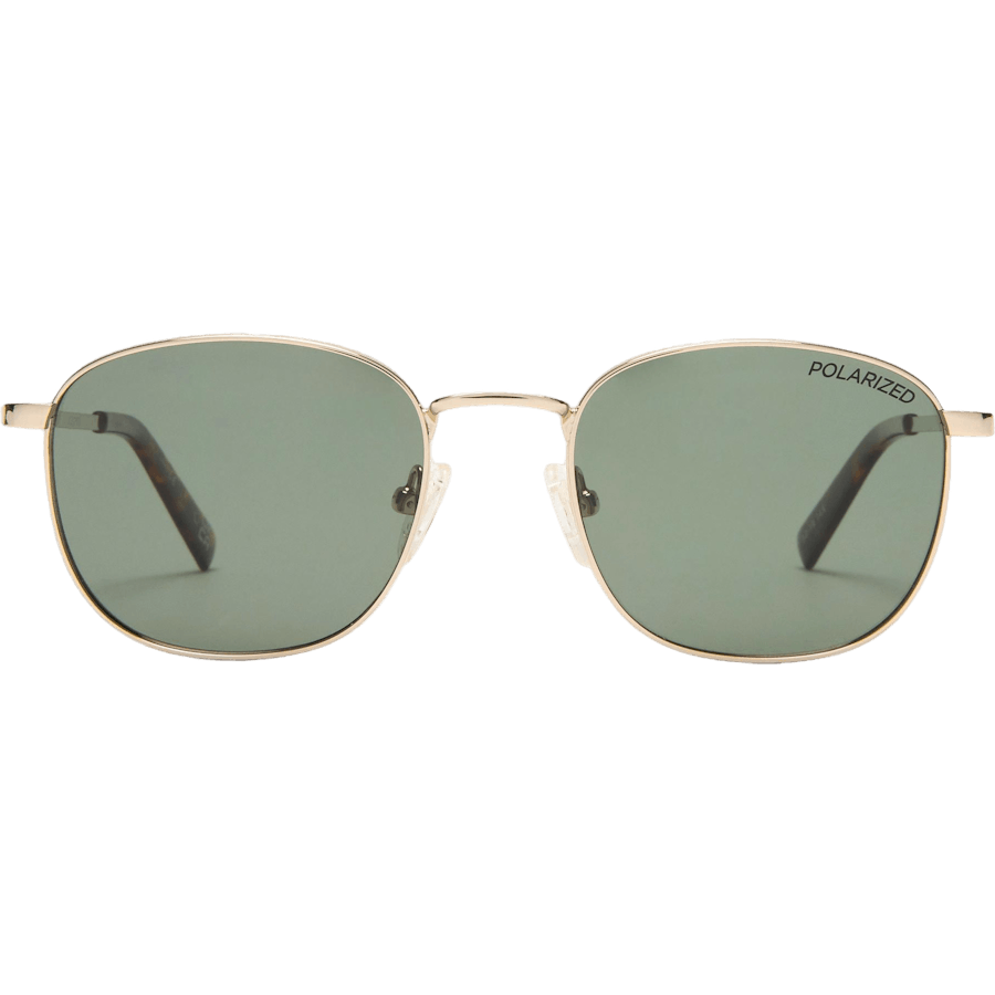 Neptune Deux *polarized*