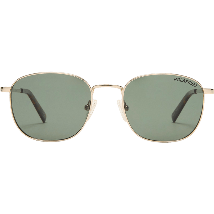 Neptune Deux *polarized*