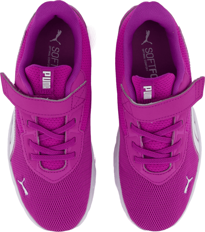 "Flexfocus Modern Ac+ Ps Wild Berry-puma White