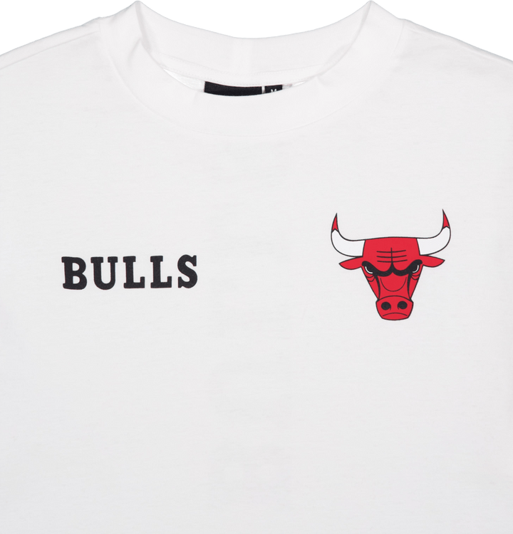 Nba Team Logo Crop Tee Chicago Whifdr