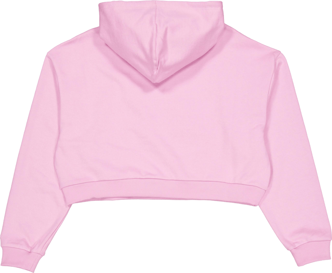 Ne Arch Wrdmrk Crop Hoody New  Fpklvr