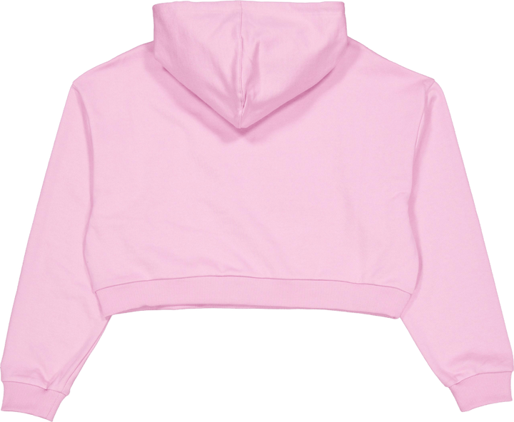 Ne Arch Wrdmrk Crop Hoody New  Fpklvr