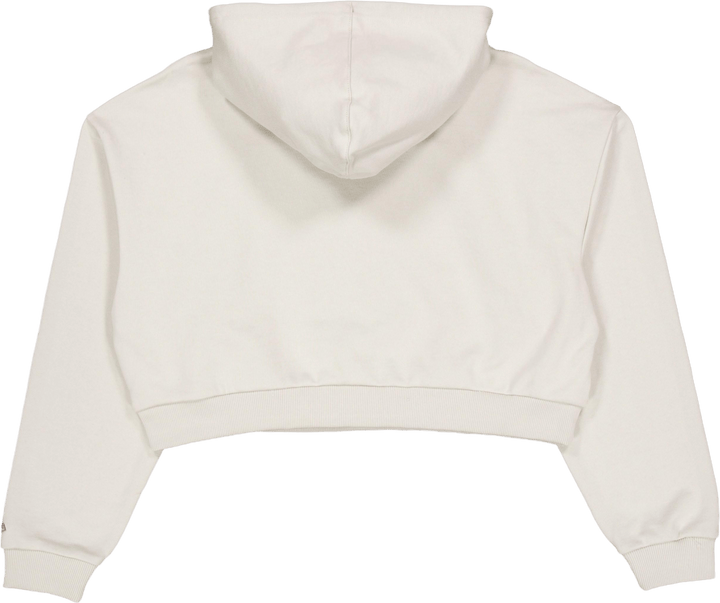 Ne Arch Wrdmrk Crop Hoody New  Stnabr