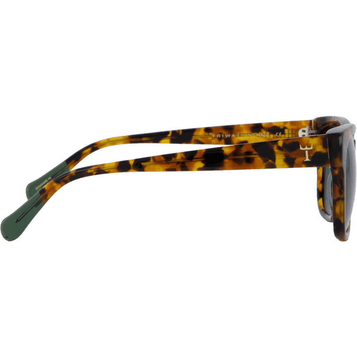 Havana Lector