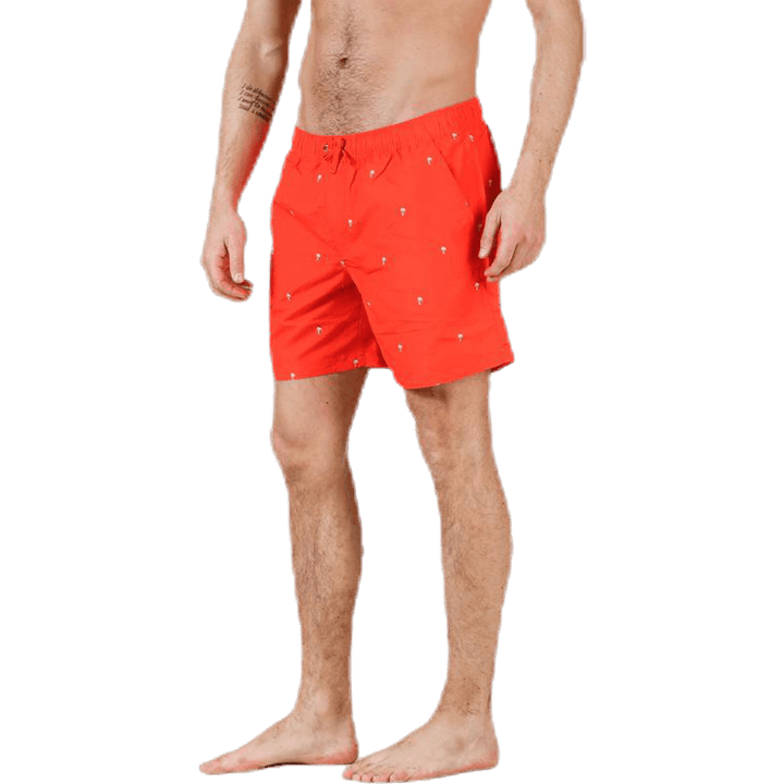 Scale Shorts Red