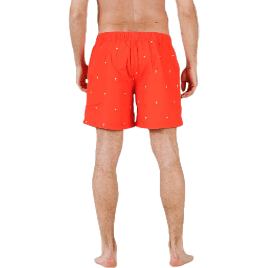 Scale Shorts Red