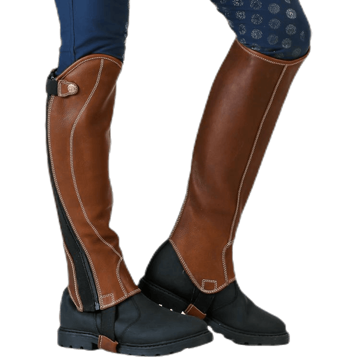 Shortchaps Santiani Brown