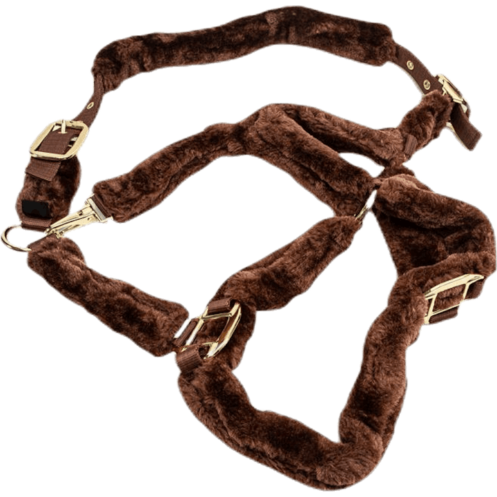 Licol Manille Marron