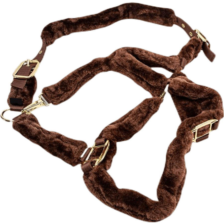 Licol Manille Marron