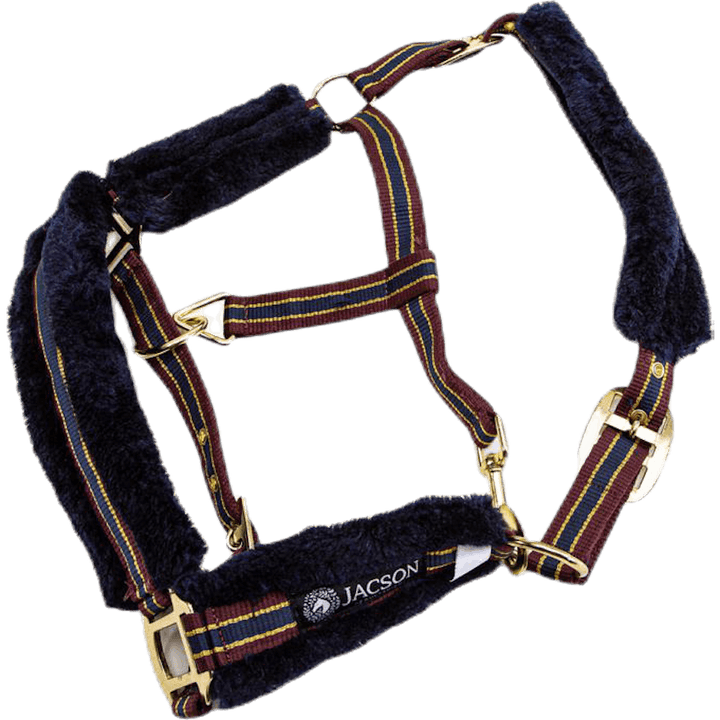 Vancouver Halter Blue/Red