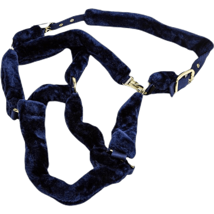 Licol Manille Bleu