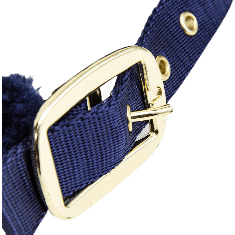 Licol Manille Bleu