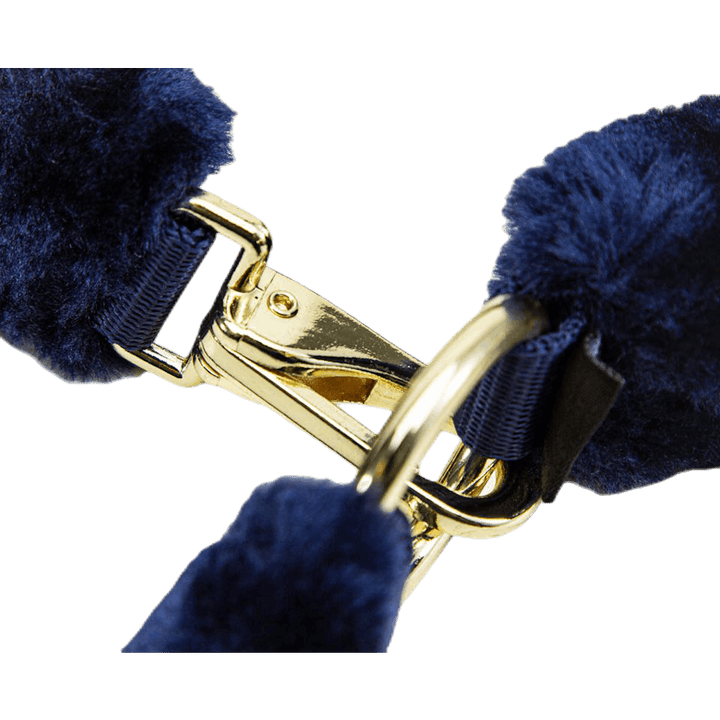 Licol Manille Bleu