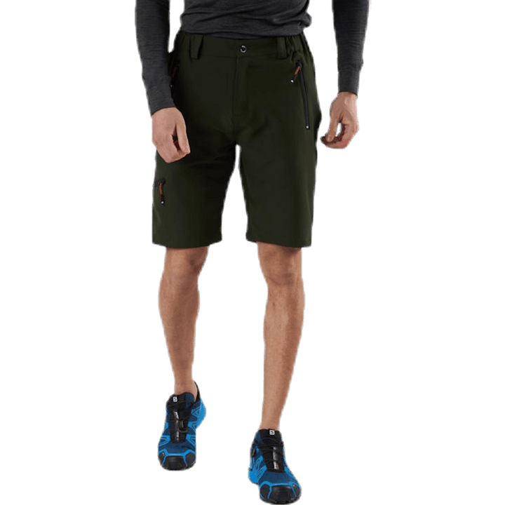 Walther Shorts Green
