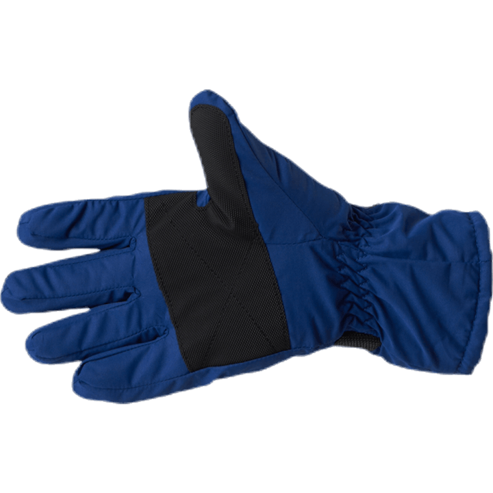 Dundret Gloves Blue