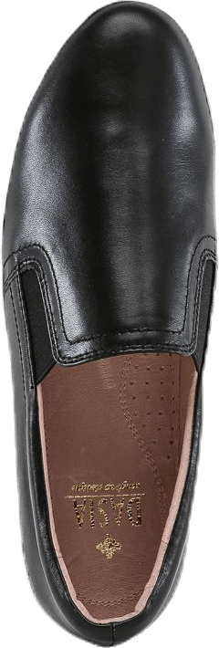 Starlily Plane Black