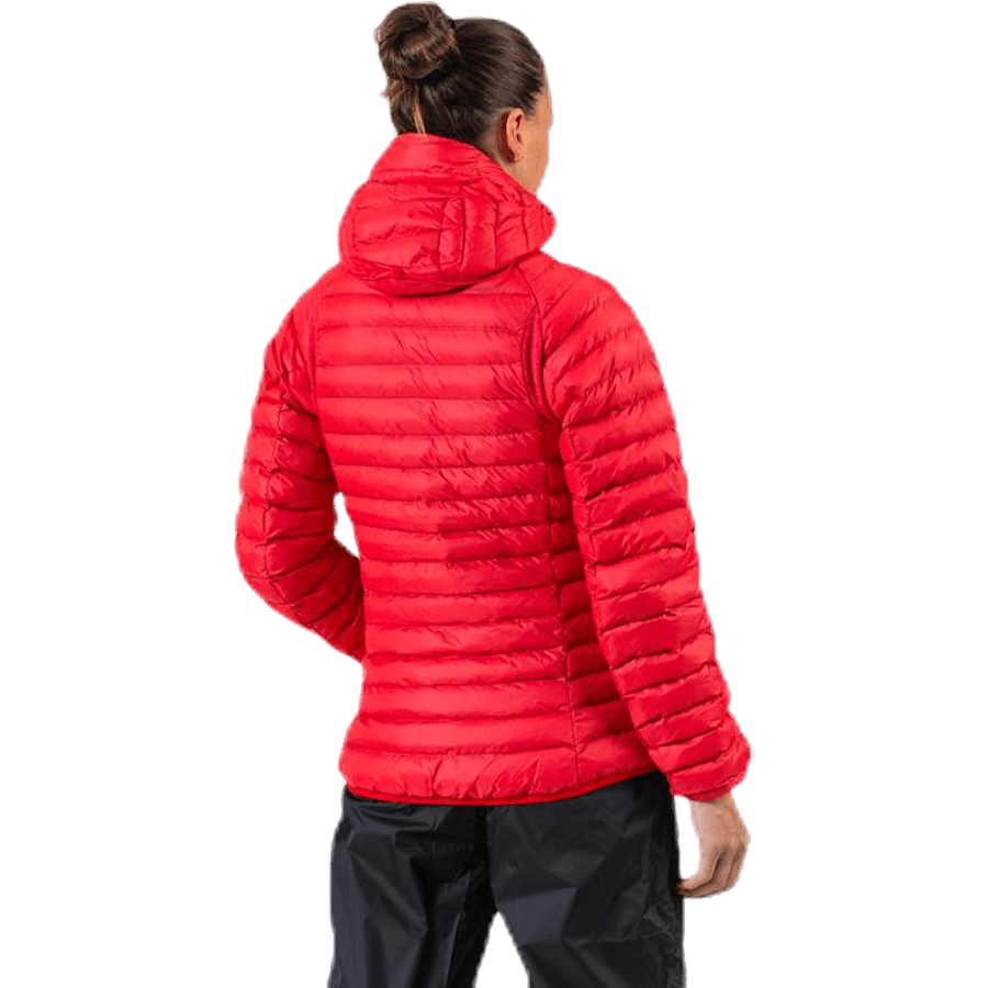 Essens Mimic Hood Rot