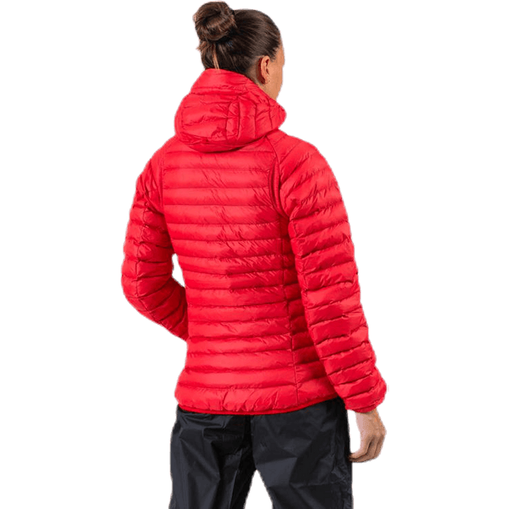 Essens Mimic Hood Rot