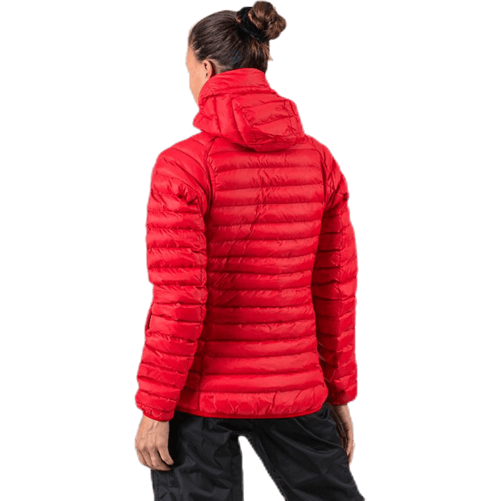 Essens Mimic Hood Rot