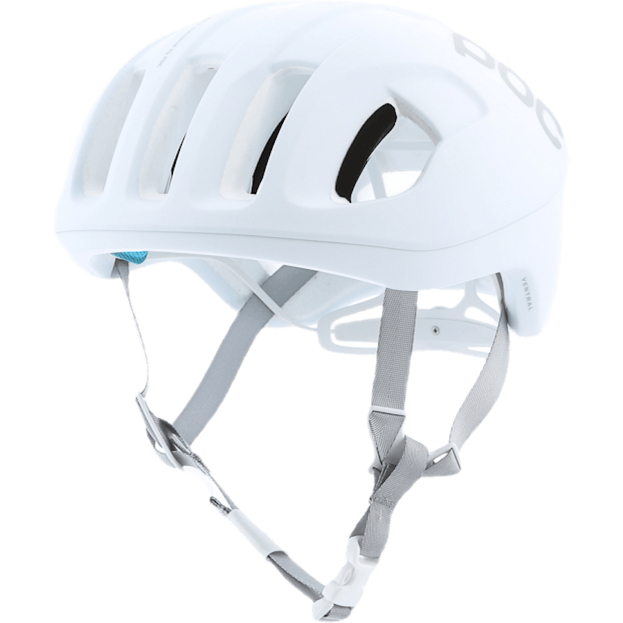 Ventral SPIN White