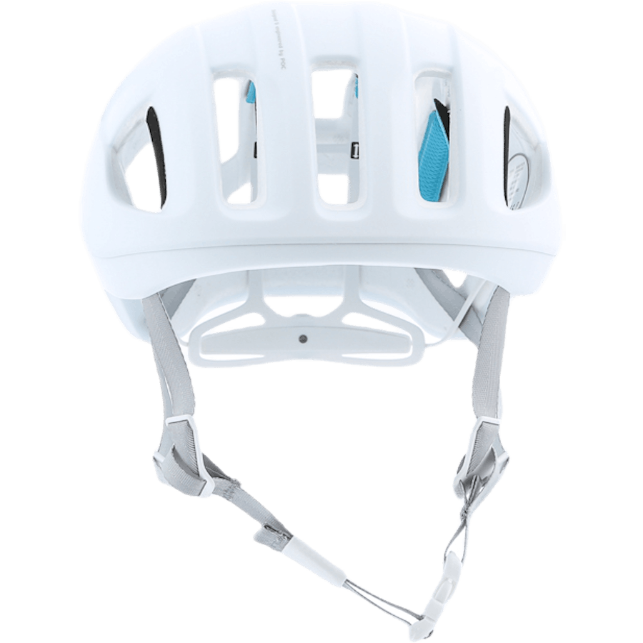 Ventral SPIN White