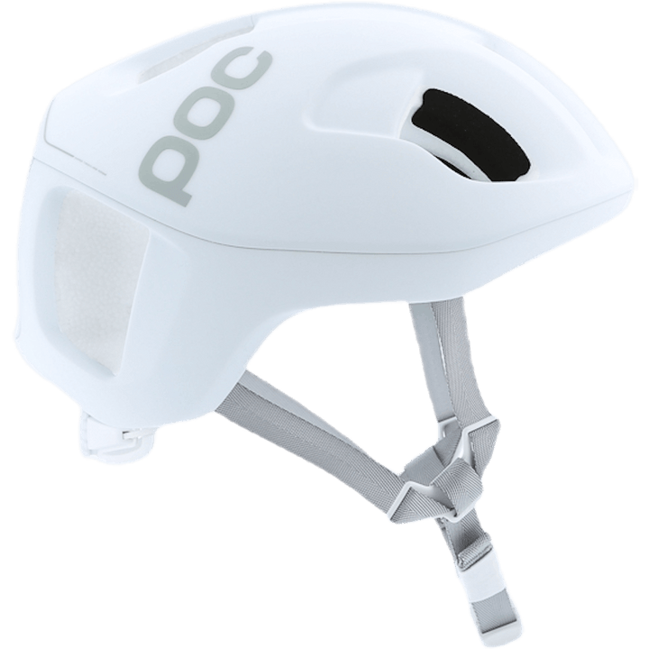 Ventral SPIN White