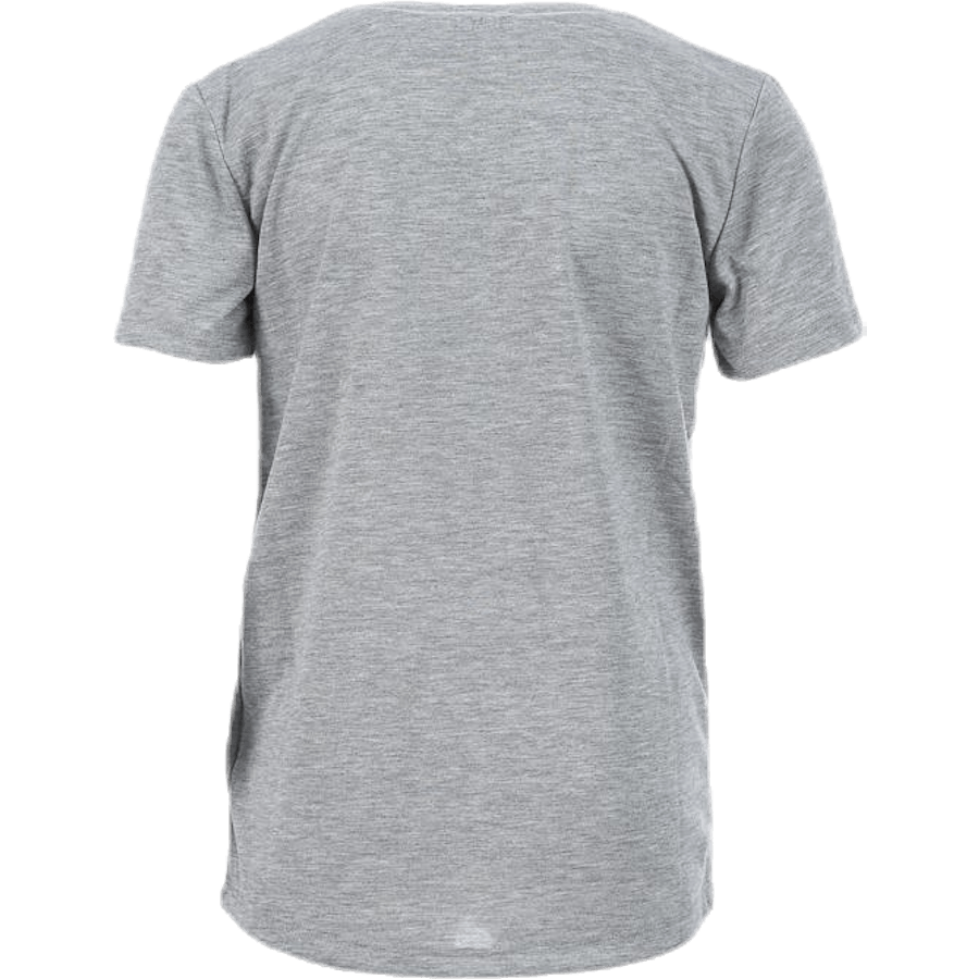 Jaunesnysis Loganas Grey