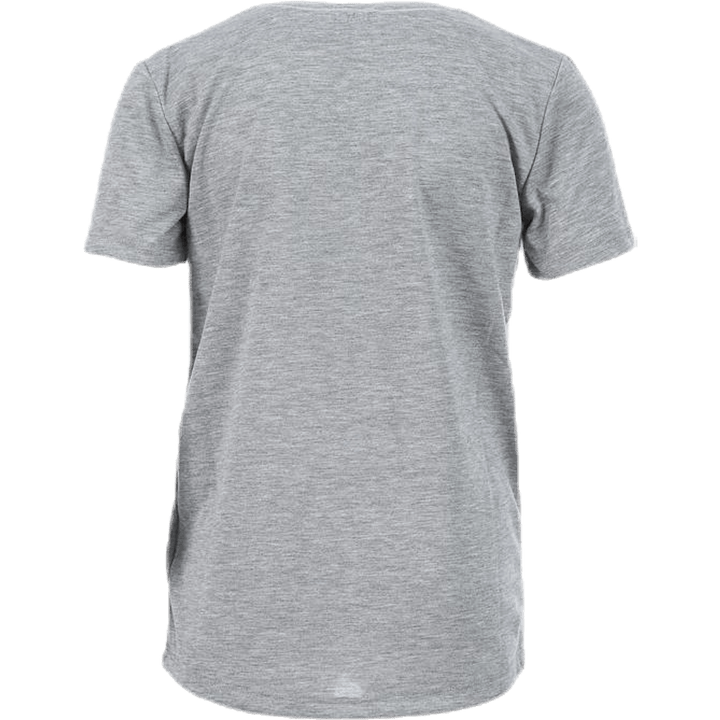 Jaunesnysis Loganas Grey