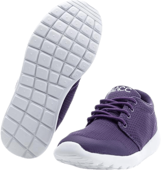 Brooke Purple