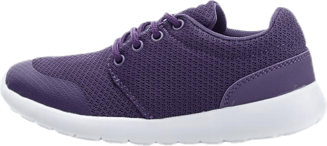 Brooke Purple