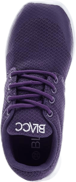 Brooke Purple