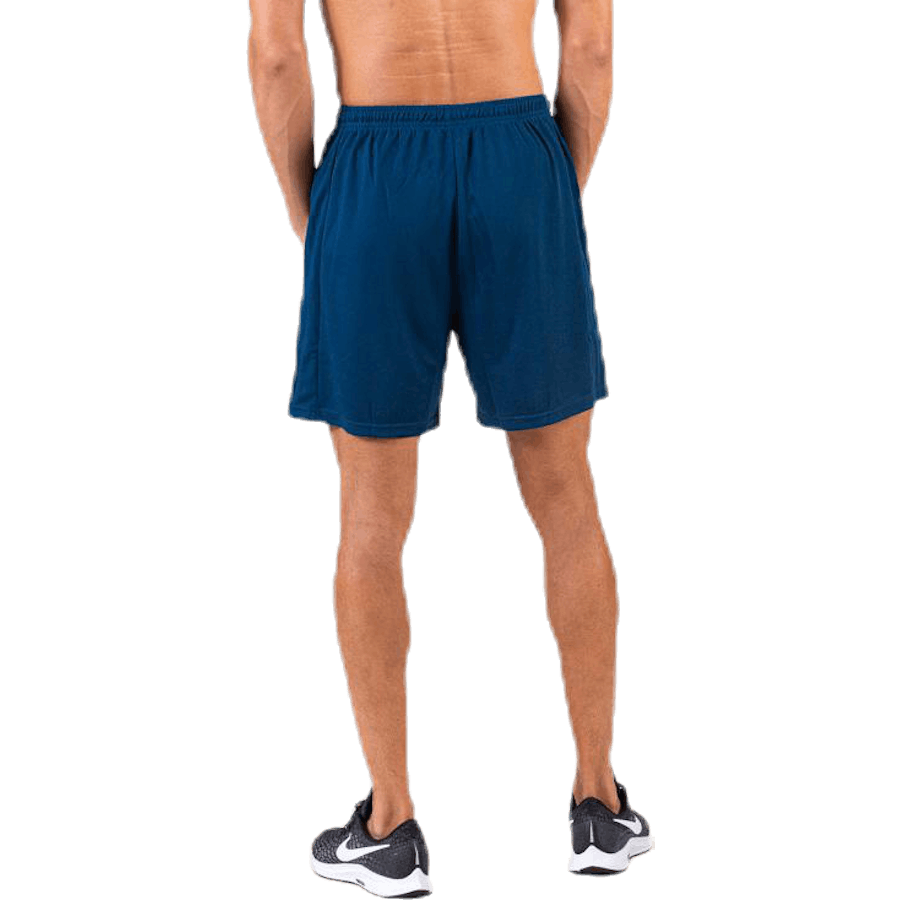 Axis Mesh Shorts Sinine