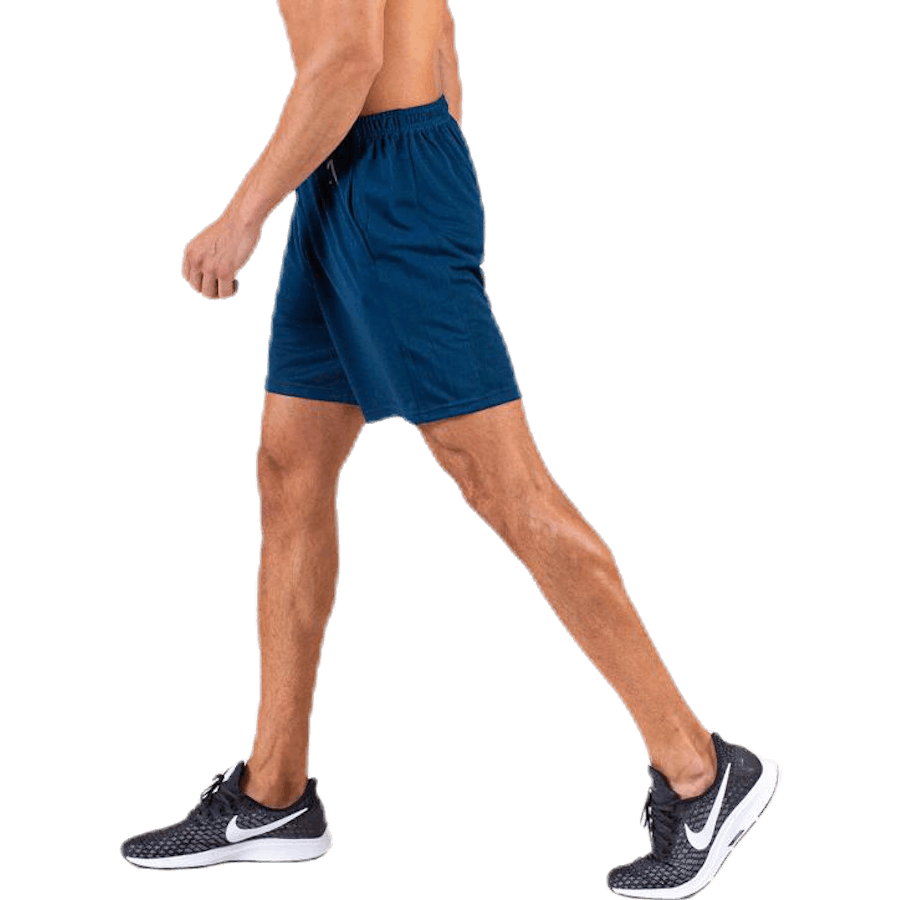 Axis Mesh Shorts Sinine