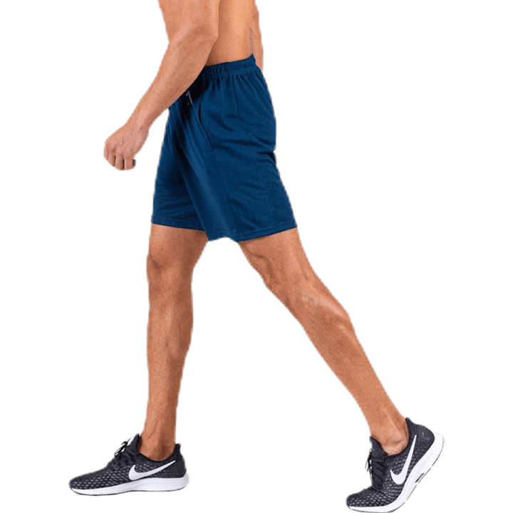 Axis Mesh Shorts Sinine