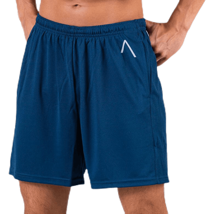 Axis Mesh Shorts Sinine