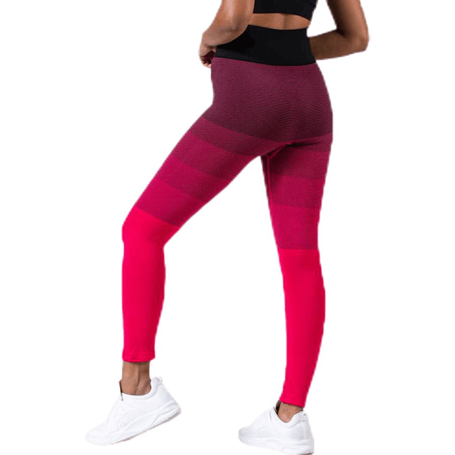 Gradient Seamless Tights Pink
