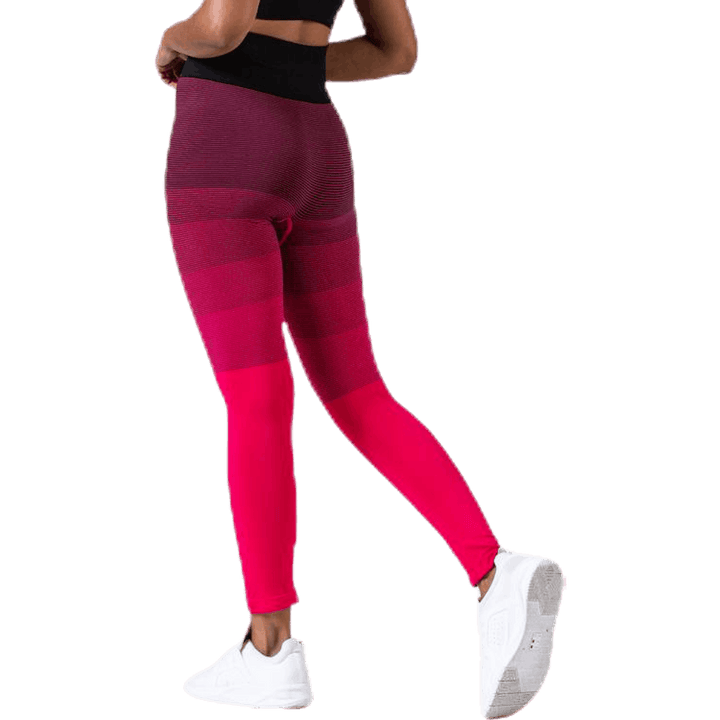 Gradient Seamless Tights Pink