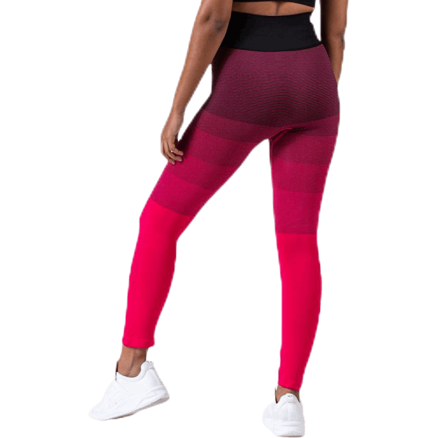 Gradient Seamless Tights Pink