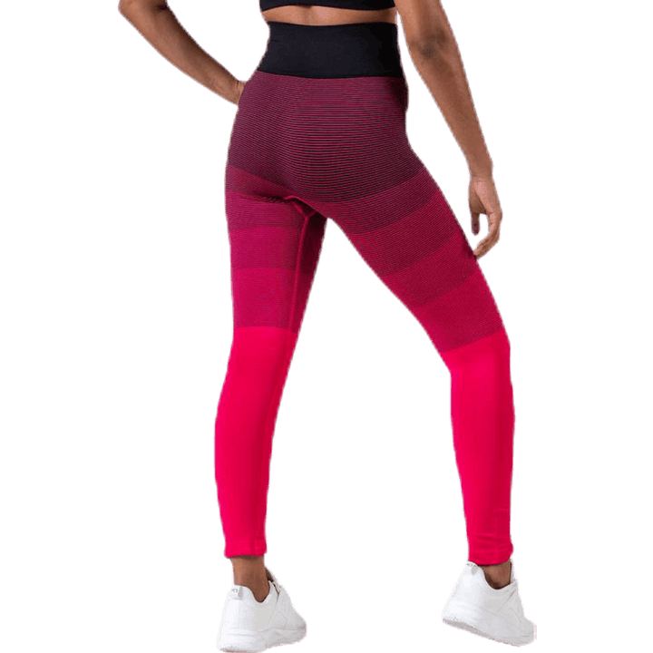 Gradient Seamless Tights Pink