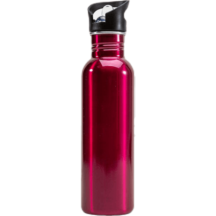 Steel Bottle 750ml Pink