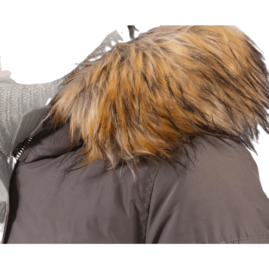 Gatto Beige
