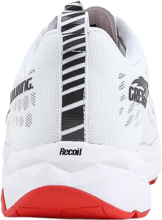 Greyhound White