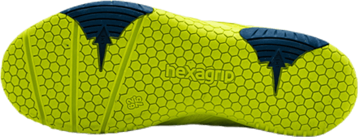 Hawk 2 Blue/Green