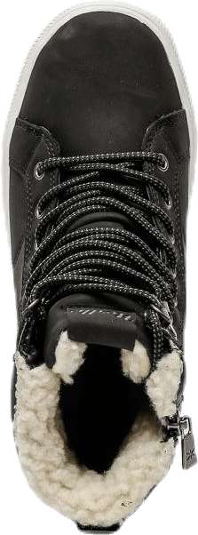Ottawa Black
