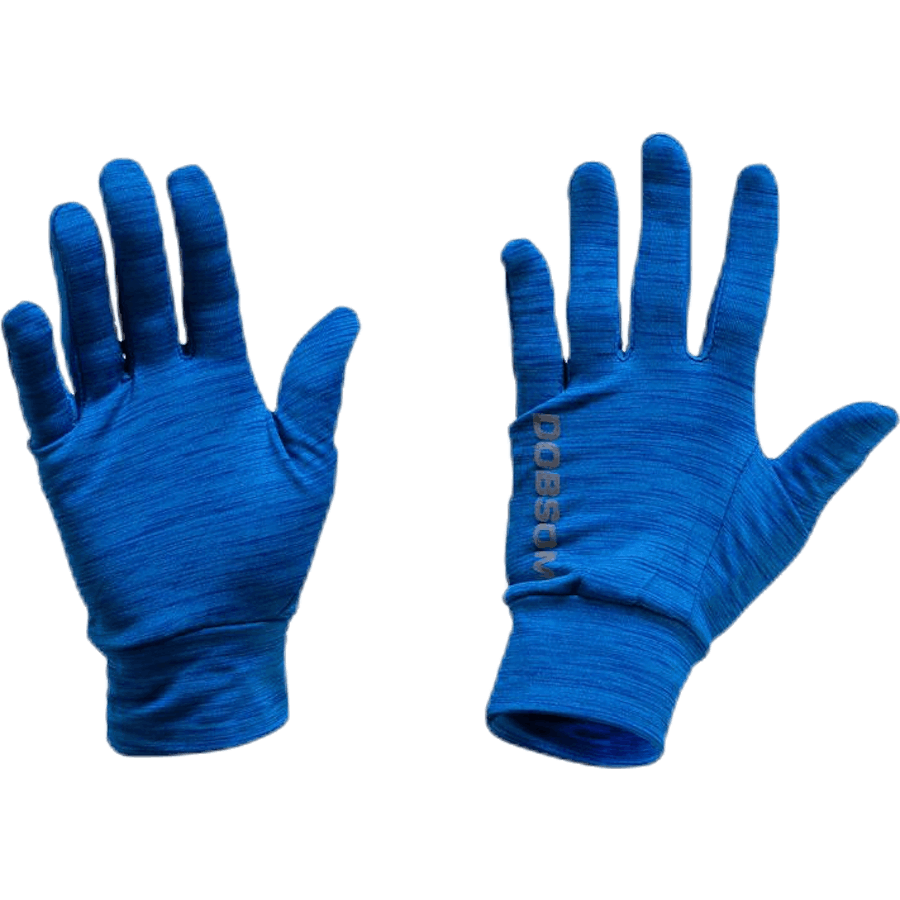 Gloves W16 Blue