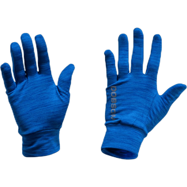 Gloves W16 Blue