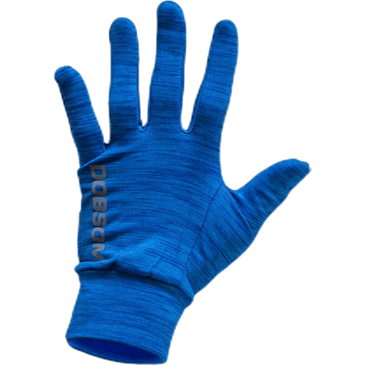 Gloves W16 Blue