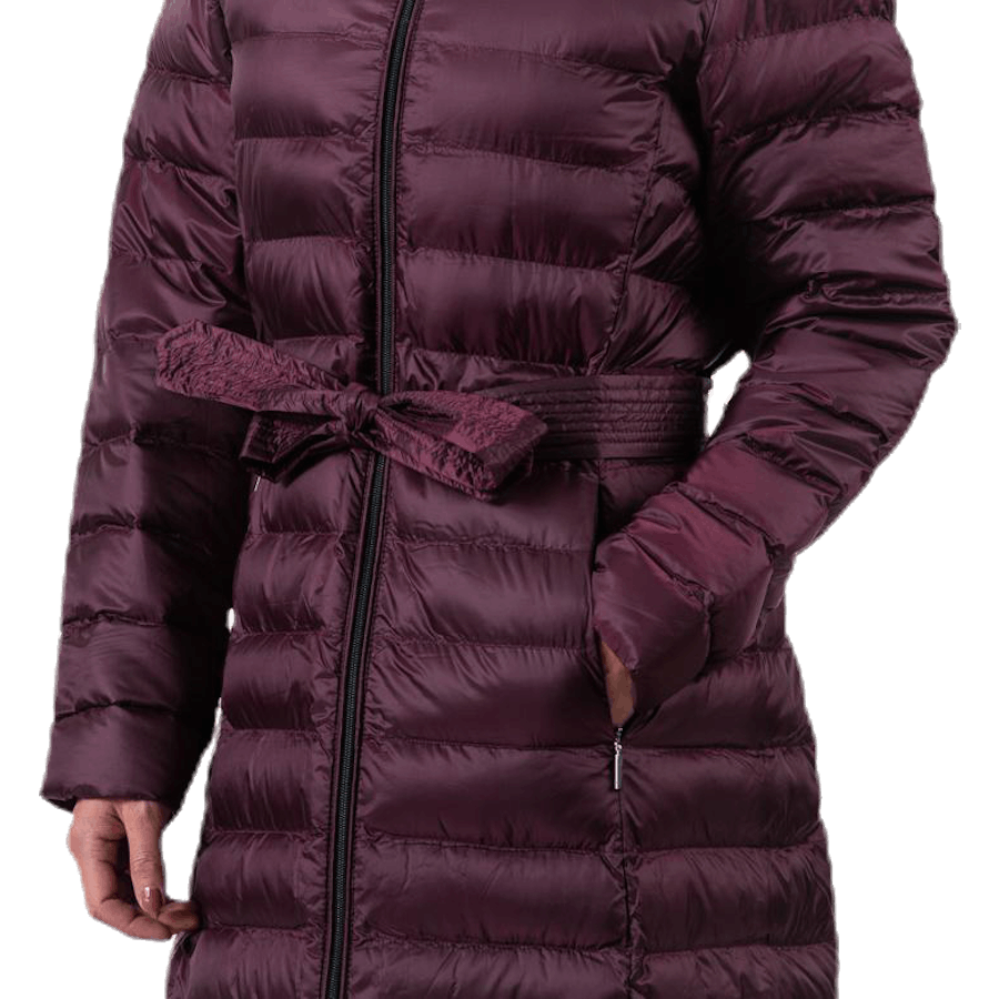Kentucky Purple