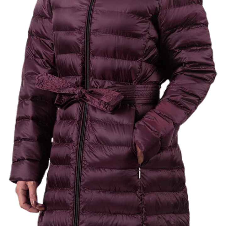 Kentucky Purple