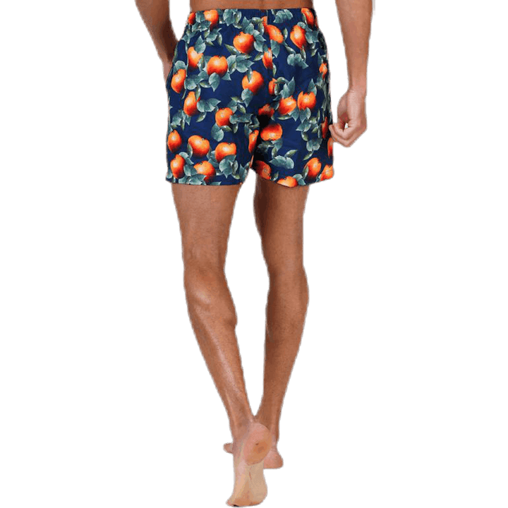 Arancione scuro Blu